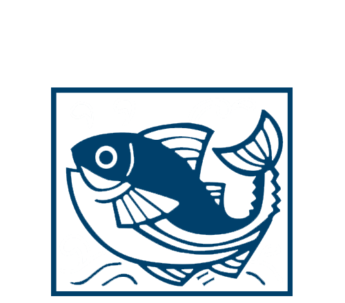 Taros Fish